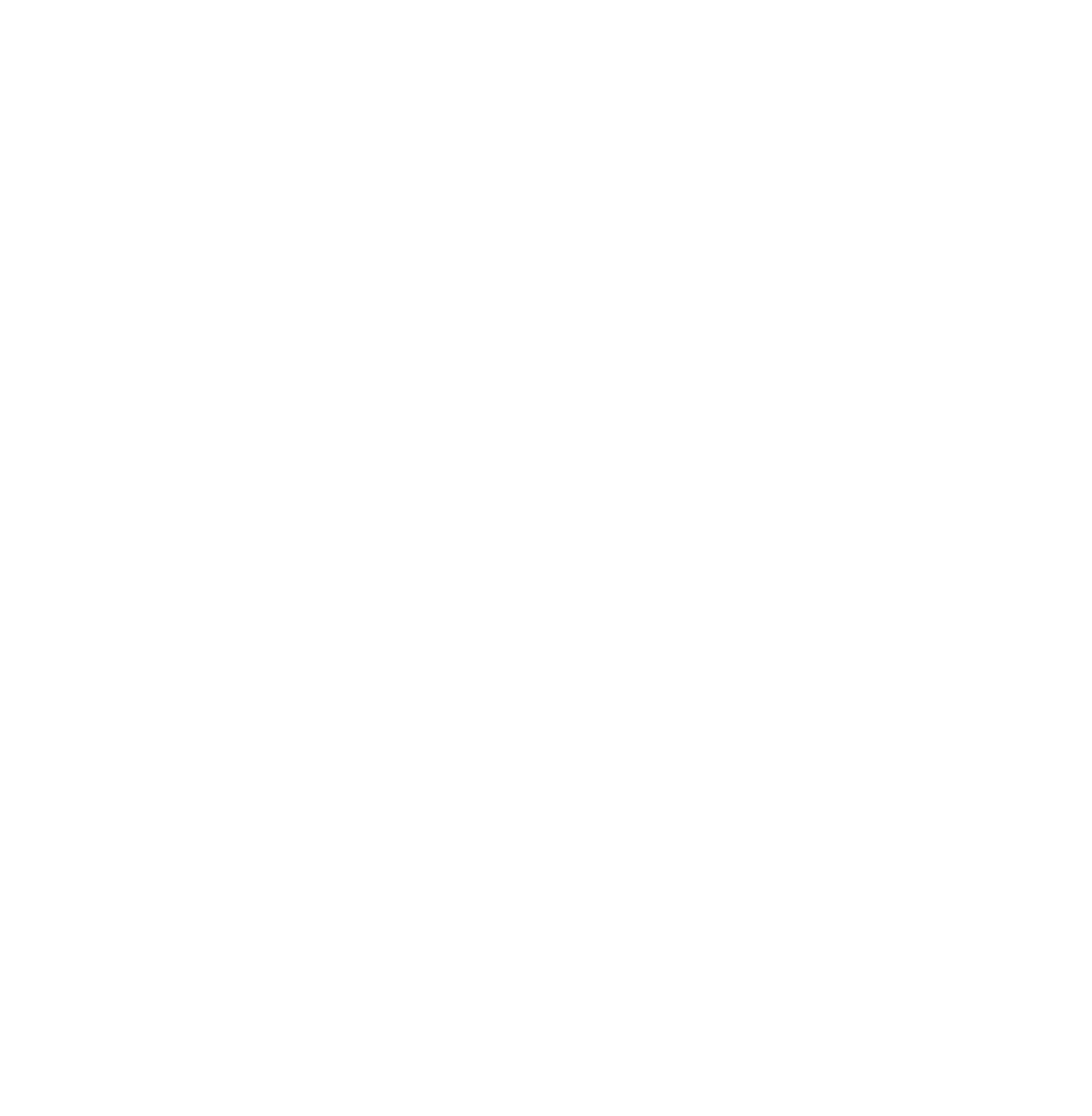 x Icon