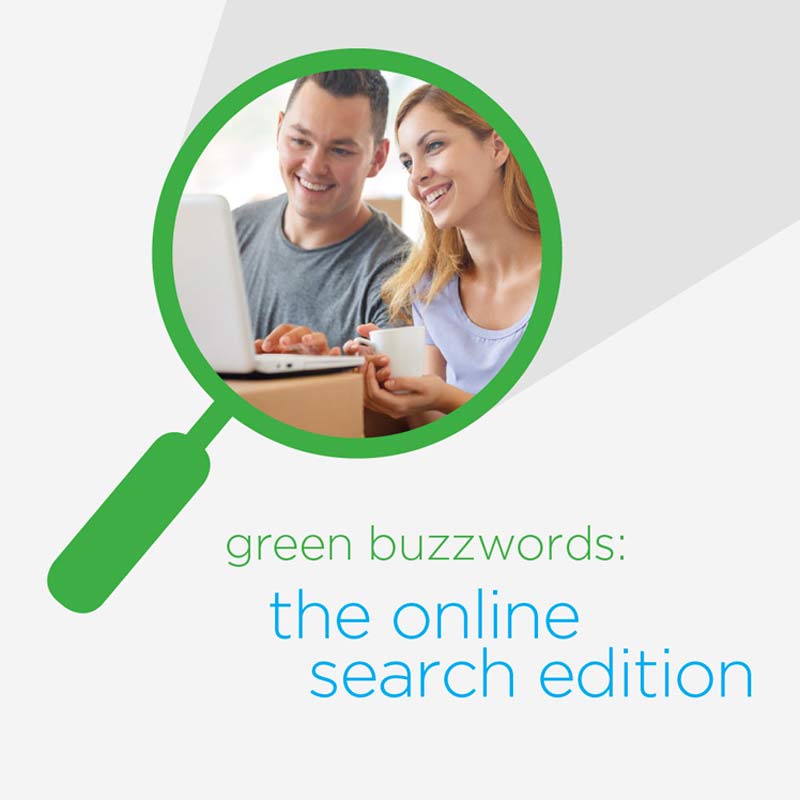 Green Buzzwords: The Online Search Edition